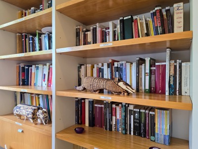 TAPU'A Biblioteca Barrial - Foto 5